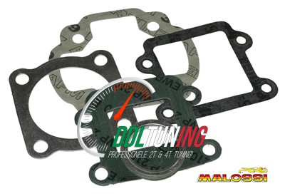 PAKKING TOPSET MINARELLI VERT 47MM MALOSSI 112789