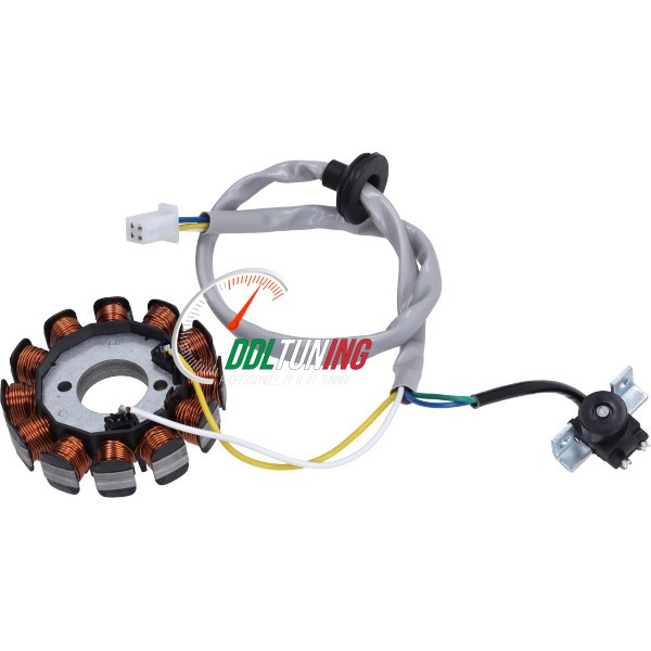 ONTSTEKING 2-BOUTS MINARELLI HORIZONTAAL + VERTICAAL 12 SPOELEN 2T