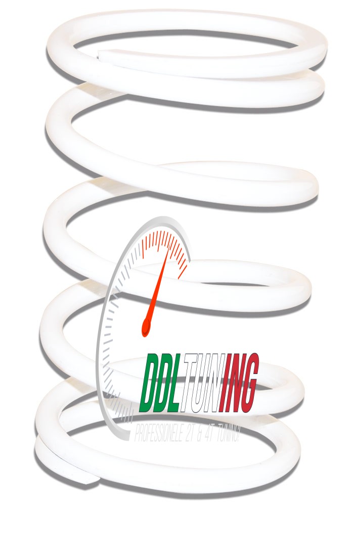 KOPP.DRUKVEER PIAGGIO 50 WIT MALOSSI 298360.W0