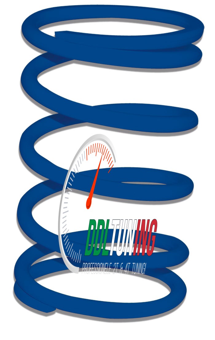 KOPP.DRUKVEER PIAGGIO 50 BLAUW 106% MALOSSI 298325