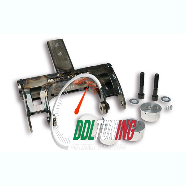 MOTOROPHANGING PIAGGIO ZIP2000/ ZIP SP2000 2T MALOSSI 1816426