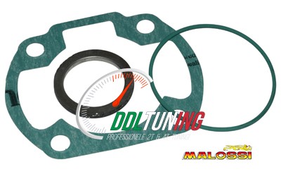 PAKKING TOPSET MINARELLI HOR 47MM MALOSSI 117569