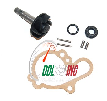 WATERPOMP REVISIE SET MINARELLI AM6