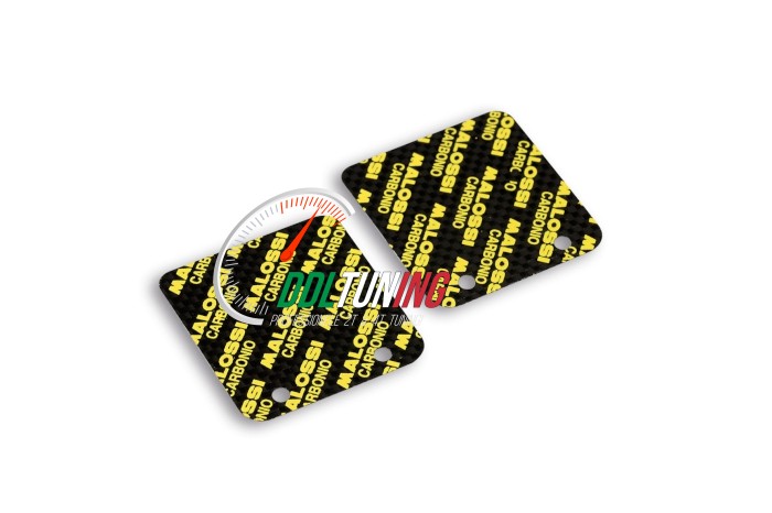 MEMBRAANPLAATSET VL16 CARBON MALOSSI MHR 2711790.C0