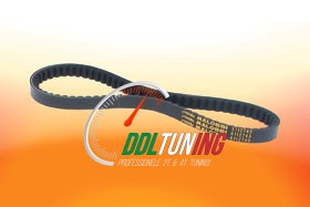 V-SNAAR KEVLAR OVERRANGE MINARELLI HOR MALOSSI 6115822