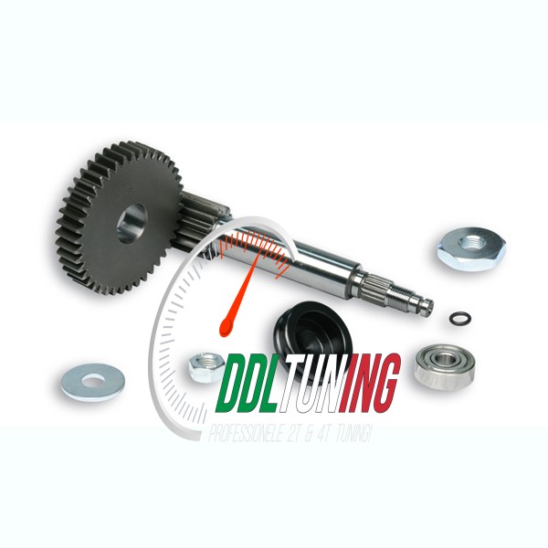 OVERBRENGINGSET PRIMAIR MINARELLI HOR 14/42T MALOSSI 6714733