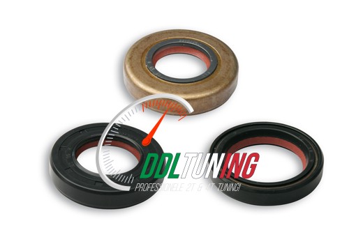 KEERRINGSET MINARELLI AM6 MALOSSI 6615757