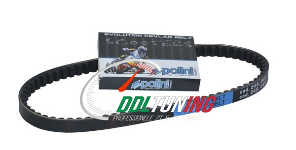 V-SNAAR KEVLAR MINARELLI HOR+VERT POLINI 248.040