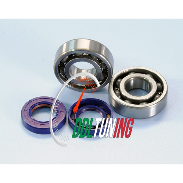 LAGER+KEERRINGSET DERBI SENDA2006 POLINI 282.0004