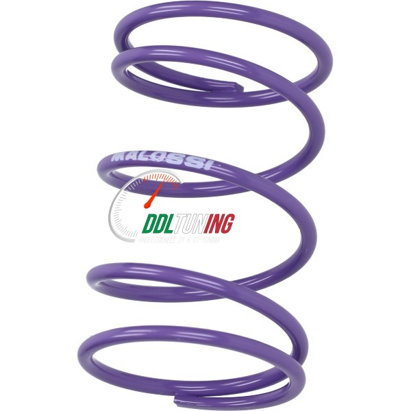 KOPP.DRUKVEER PIAGGIO 50 PAARS 4.0 MALOSSI 298324.V0