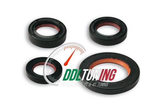 KEERRINGSET PIAGGIO 2T MALOSSI 6615749