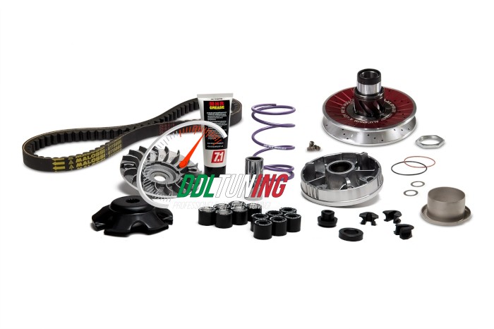 OVERRANGE SYSTEEM ALUMINIUM LANG CARTER C-ONE/ RC-ONE MALOSSI MHR 6115781