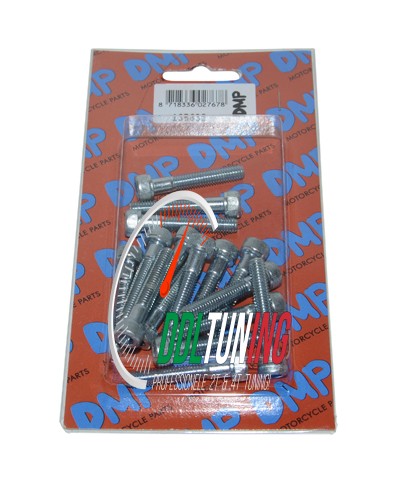 BOUTSET INBUS CARTERDEKSEL PIAGGIO 2T DMP