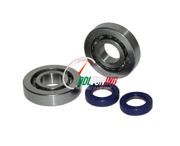 LAGER+KEERRINGSET PIAGGIO 2T POLINI 282.0001