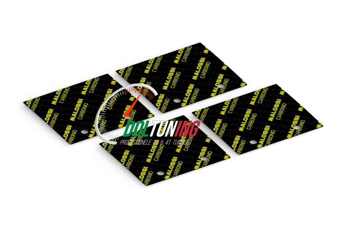 MEMBRAANPLAATSET 2-KLEPS C-ONE CARBON VL18 MALOSSI 2718510