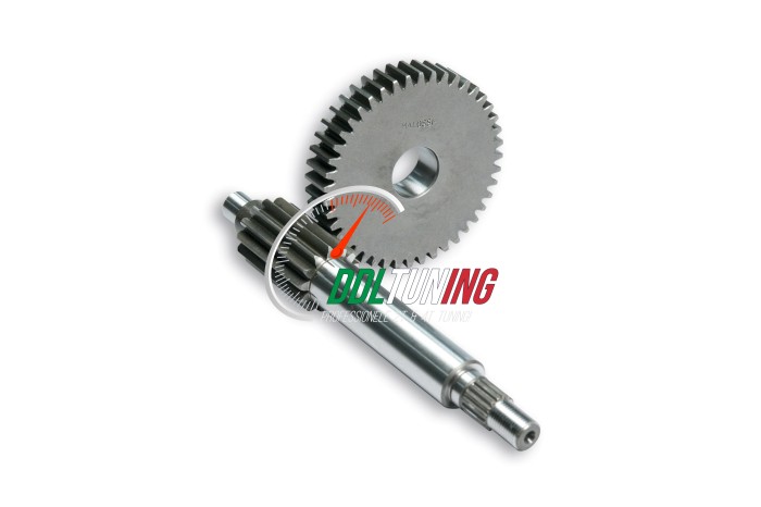 OVERBRENGINGSET PRIMAIR MINARELLI HOR 14/42T MALOSSI 677580