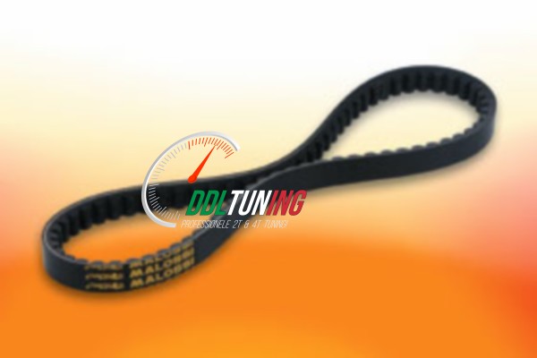 V-SNAAR GY6/ 10 INCH MALOSSI 6113397 OP=OP