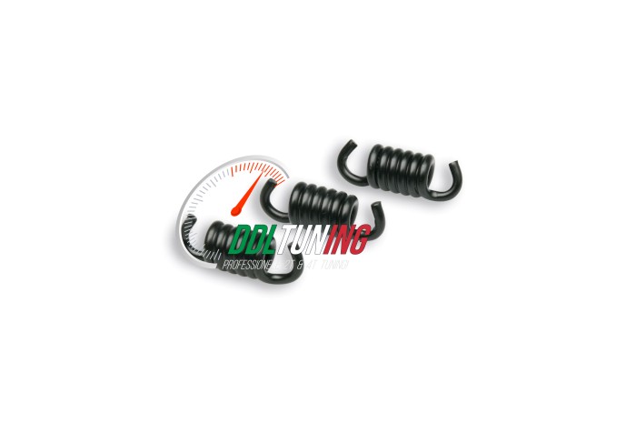 TREKVEER SET KOPPELING ZWART DELTA CLUTCH MALOSSI 298745B