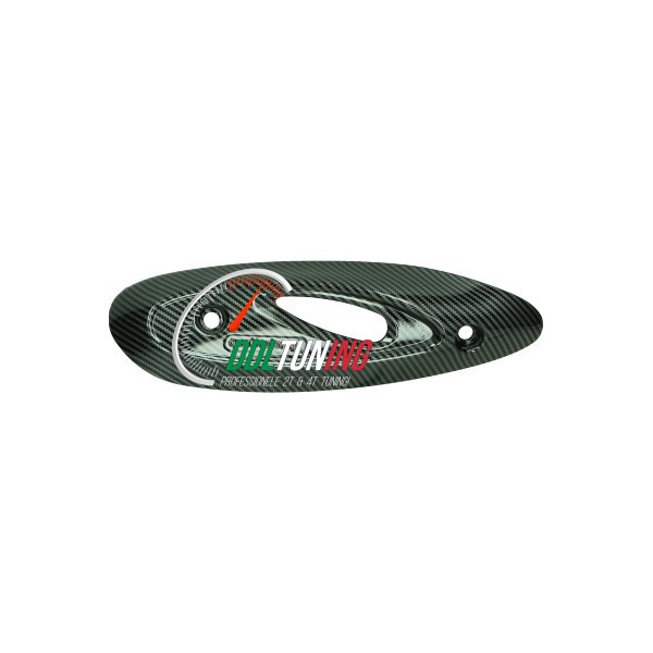 HITTESCHILD UITLAAT CARBON PIAGGIO ZIP/ FLY/ LIBERTY 4T-2V EURO-2