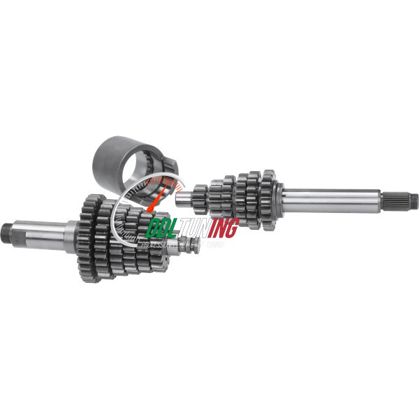 VERSNELLINGSBAK 6V SCHMITT (MADE IN EU) ZUNDAPP KS125/ KS175