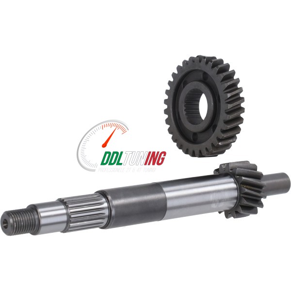 OVERBRENGINGSET PRIMAIR 14/29T GILERA RUNNER 180CC DUBBEL GELAGERD JASIL